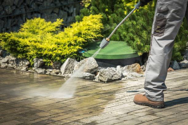 Best House Exterior Washing  in West Point, NY